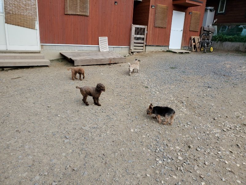 f:id:roukenhome-ann:20191002050435j:plain