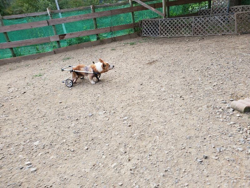 f:id:roukenhome-ann:20191002050442j:plain