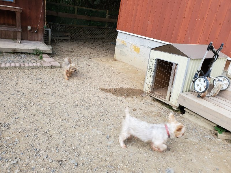 f:id:roukenhome-ann:20191002050509j:plain