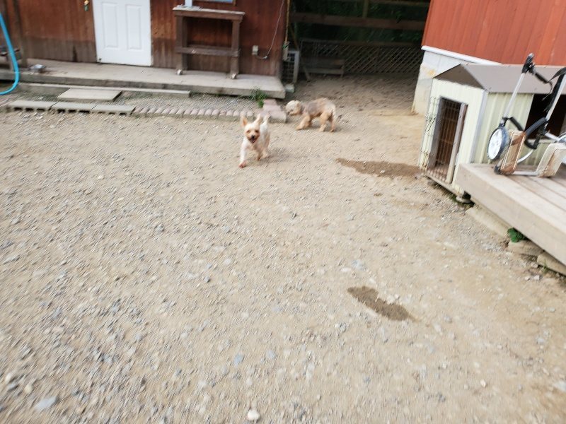 f:id:roukenhome-ann:20191002050514j:plain