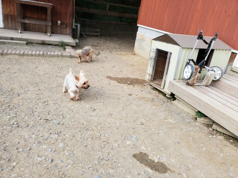 f:id:roukenhome-ann:20191002050519j:plain