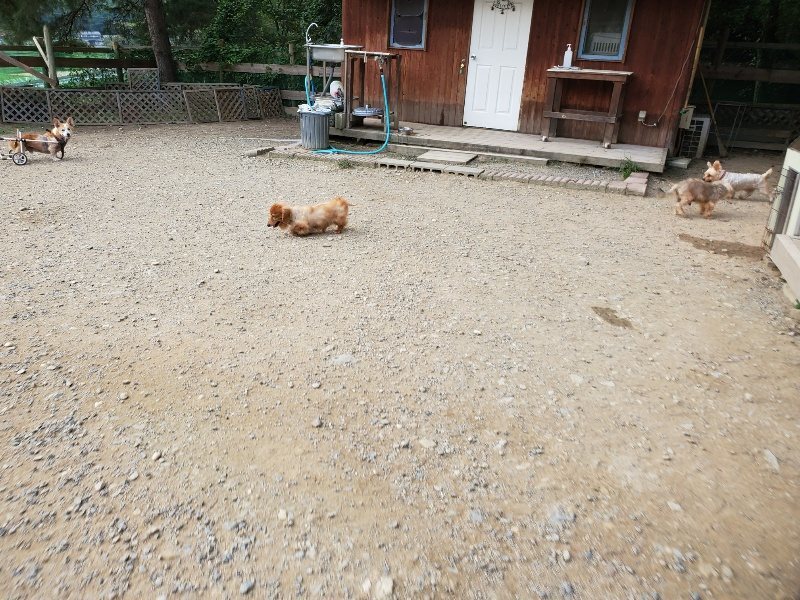 f:id:roukenhome-ann:20191002050525j:plain