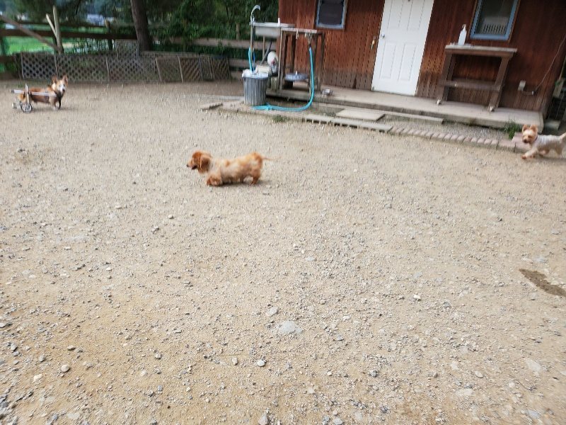 f:id:roukenhome-ann:20191002050531j:plain