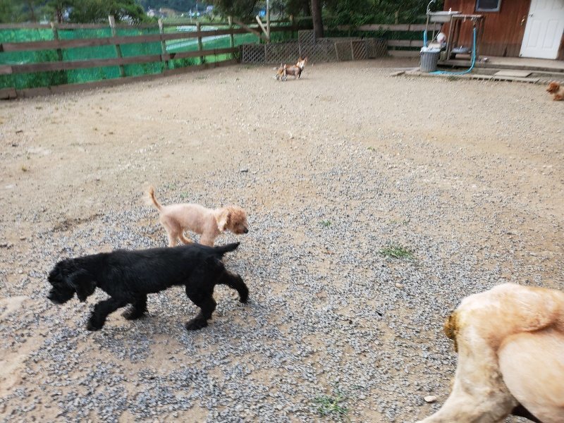 f:id:roukenhome-ann:20191002050536j:plain