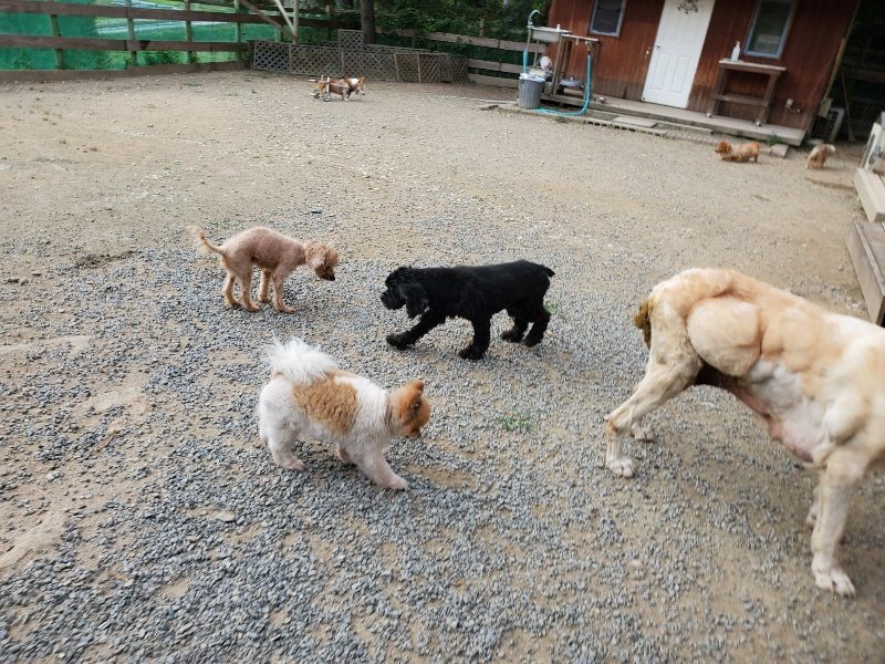 f:id:roukenhome-ann:20191002050541j:plain