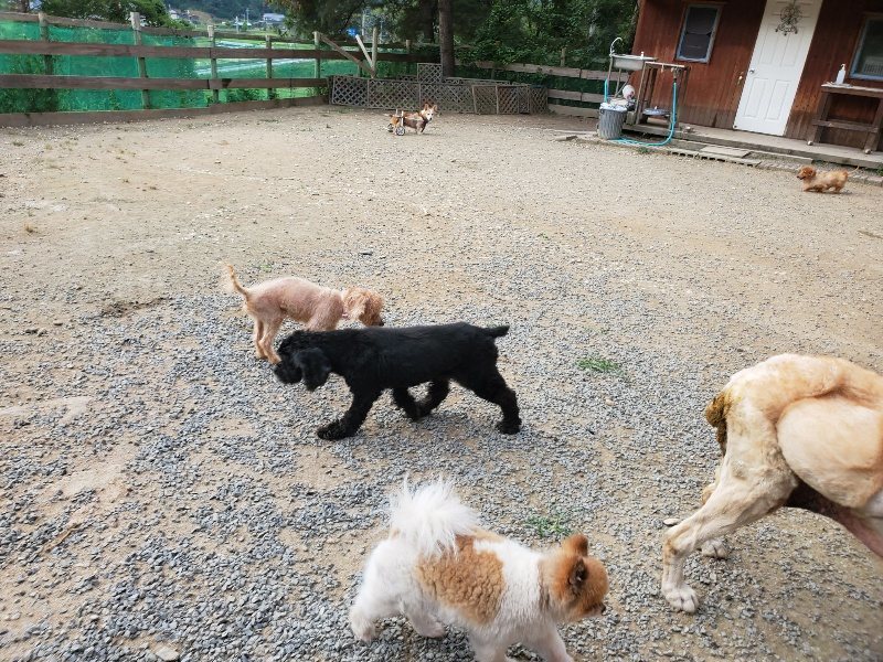 f:id:roukenhome-ann:20191002050547j:plain