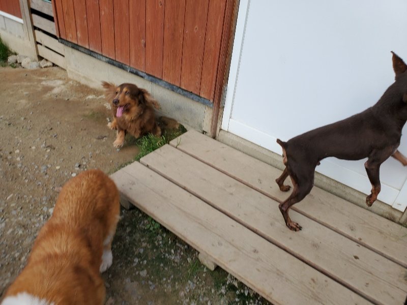 f:id:roukenhome-ann:20191002050615j:plain