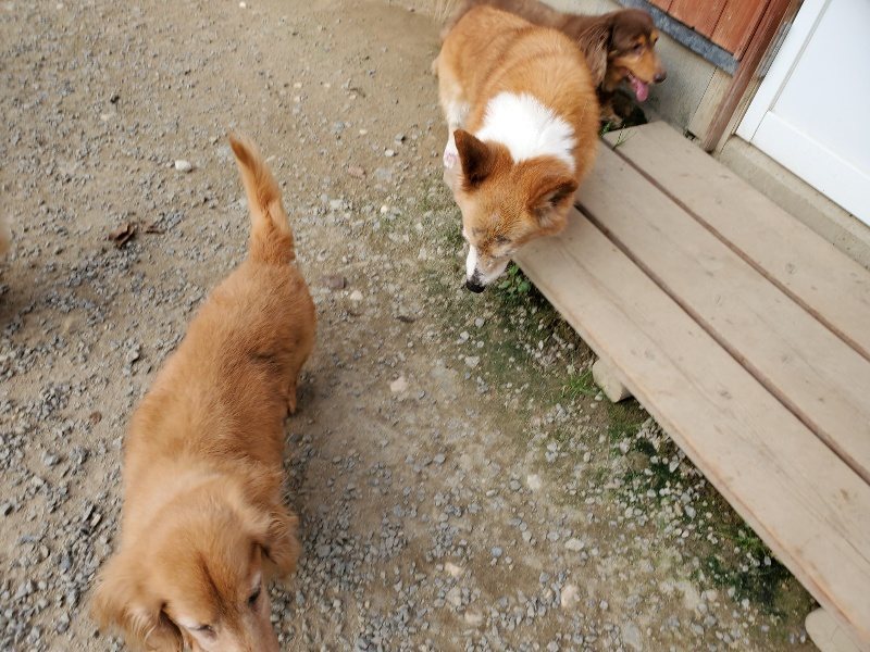 f:id:roukenhome-ann:20191002050633j:plain