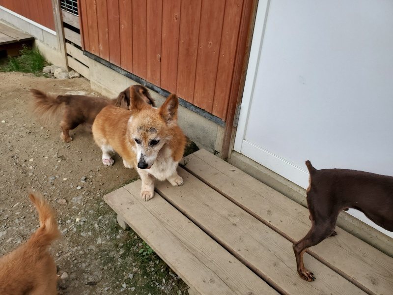 f:id:roukenhome-ann:20191002050648j:plain