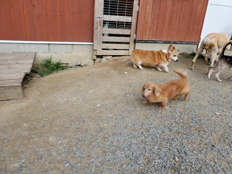 f:id:roukenhome-ann:20191002051135j:plain