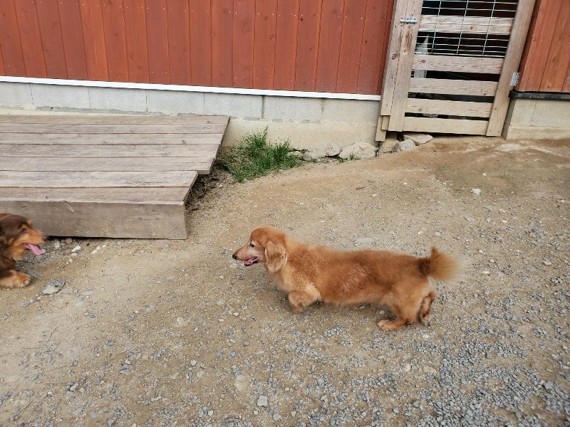 f:id:roukenhome-ann:20191002051219j:plain