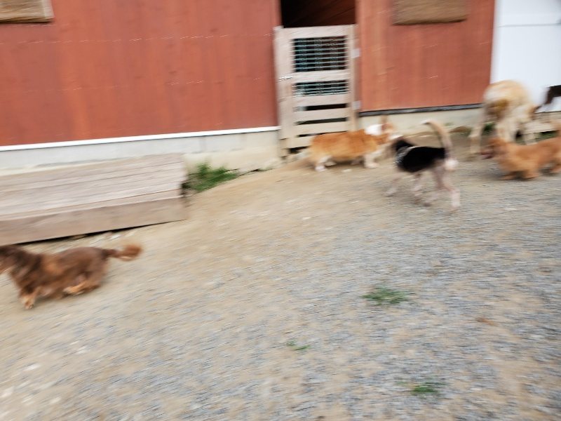 f:id:roukenhome-ann:20191002051241j:plain