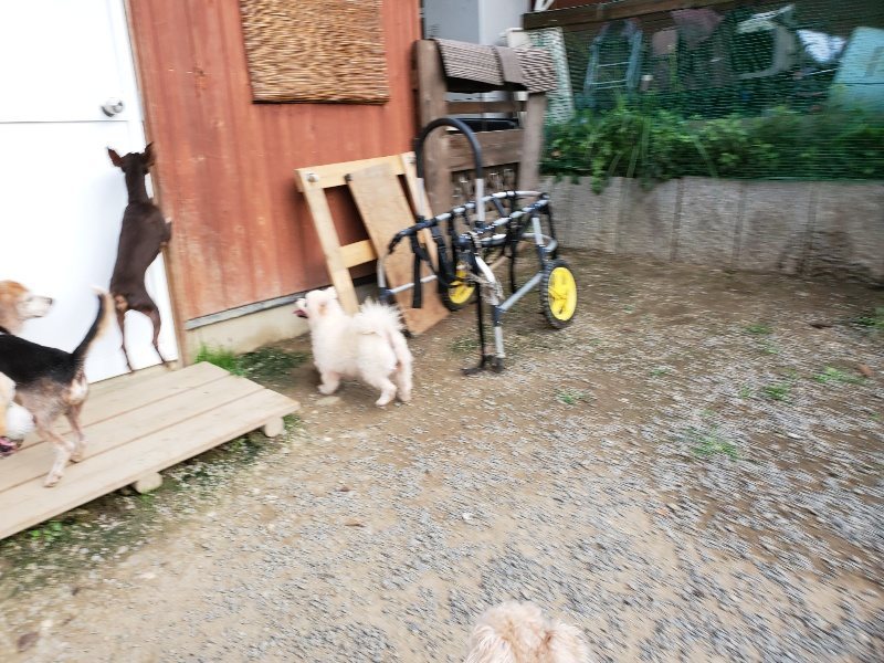 f:id:roukenhome-ann:20191002051423j:plain