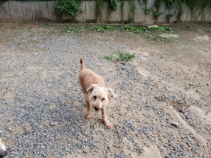 f:id:roukenhome-ann:20191002051523j:plain
