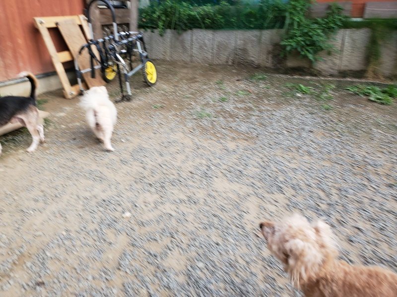 f:id:roukenhome-ann:20191002051602j:plain