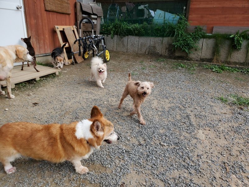 f:id:roukenhome-ann:20191002051726j:plain