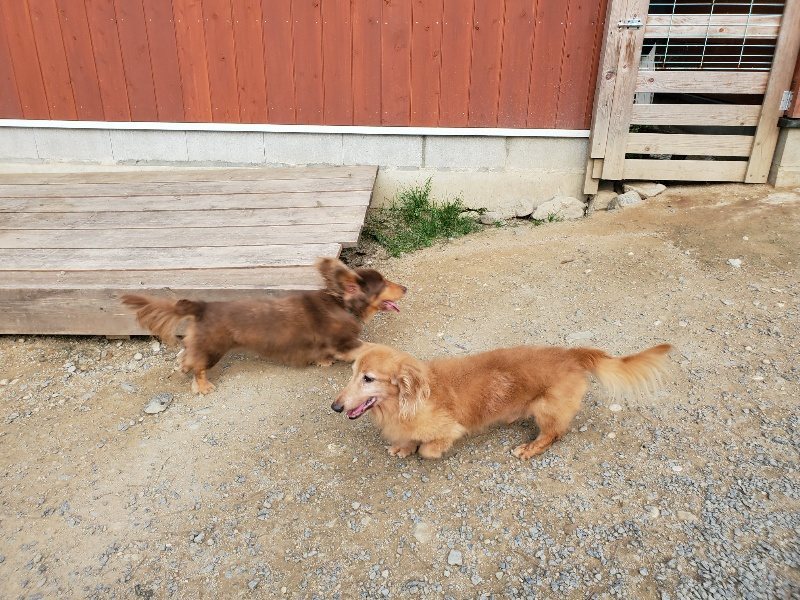 f:id:roukenhome-ann:20191002051819j:plain
