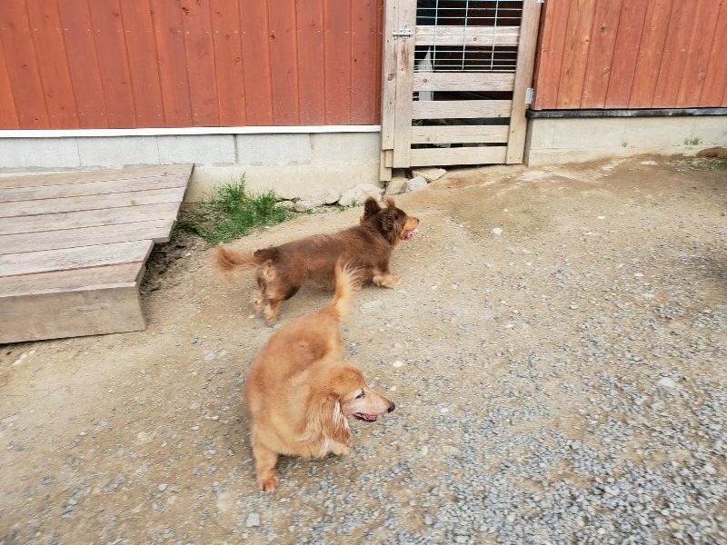 f:id:roukenhome-ann:20191002051919j:plain