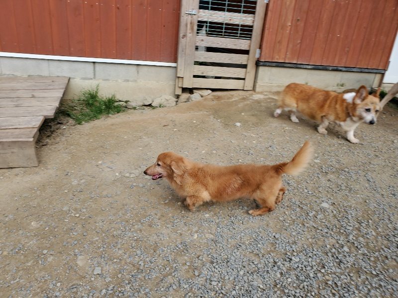 f:id:roukenhome-ann:20191002052002j:plain