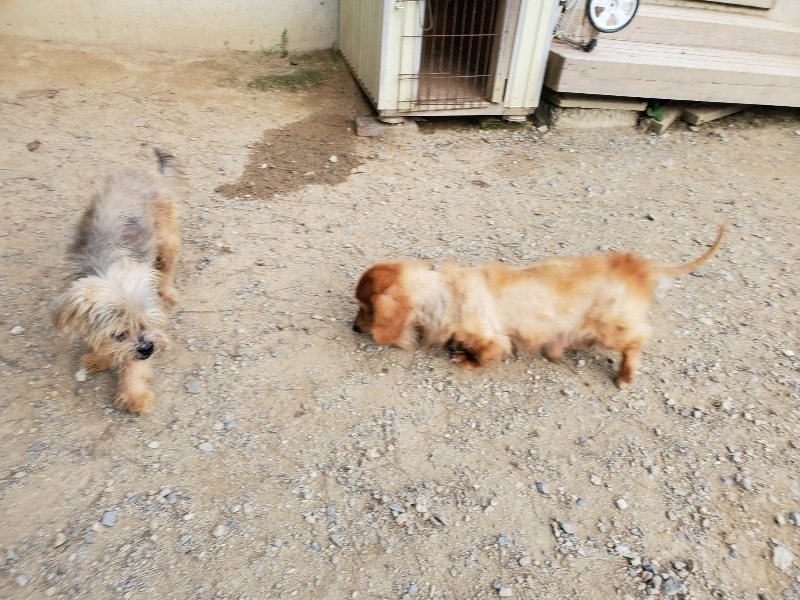 f:id:roukenhome-ann:20191002064335j:plain
