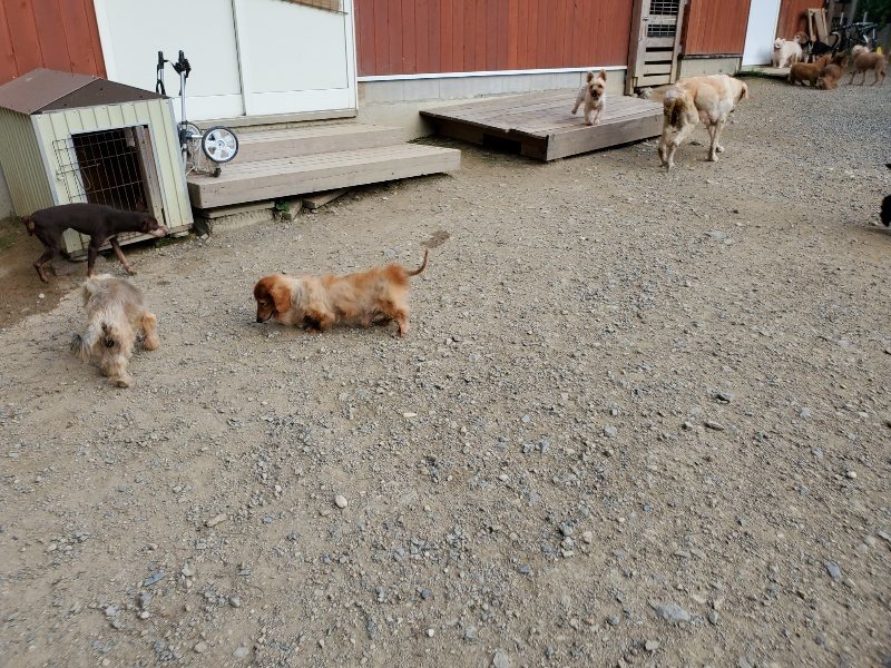 f:id:roukenhome-ann:20191002064456j:plain