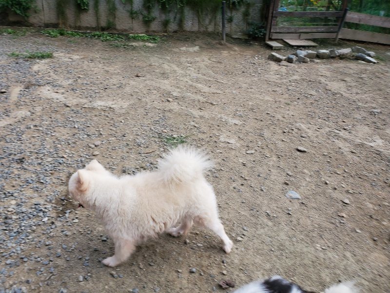 f:id:roukenhome-ann:20191002064531j:plain