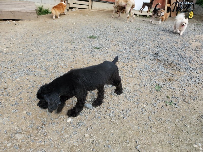 f:id:roukenhome-ann:20191002064633j:plain
