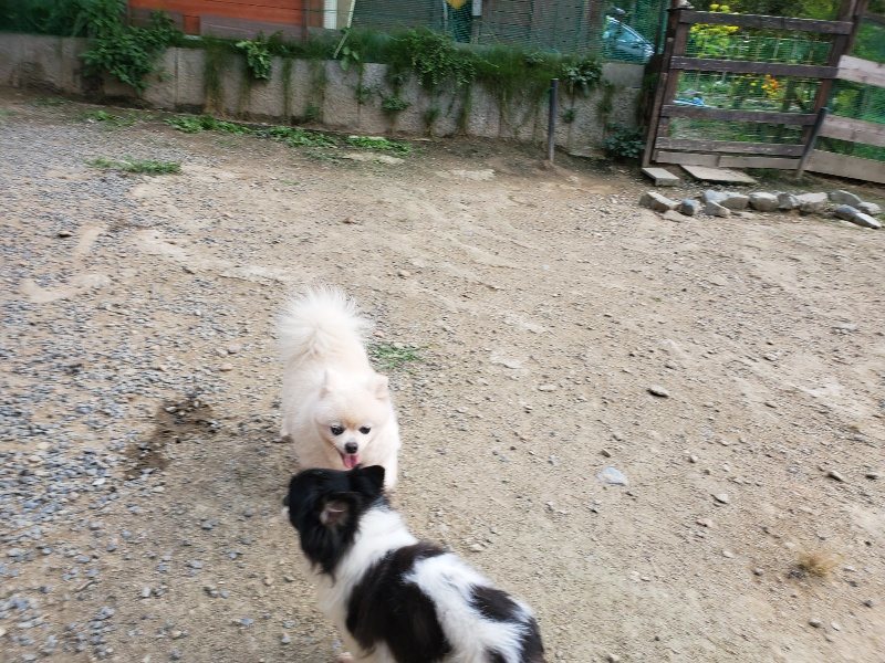 f:id:roukenhome-ann:20191002064723j:plain