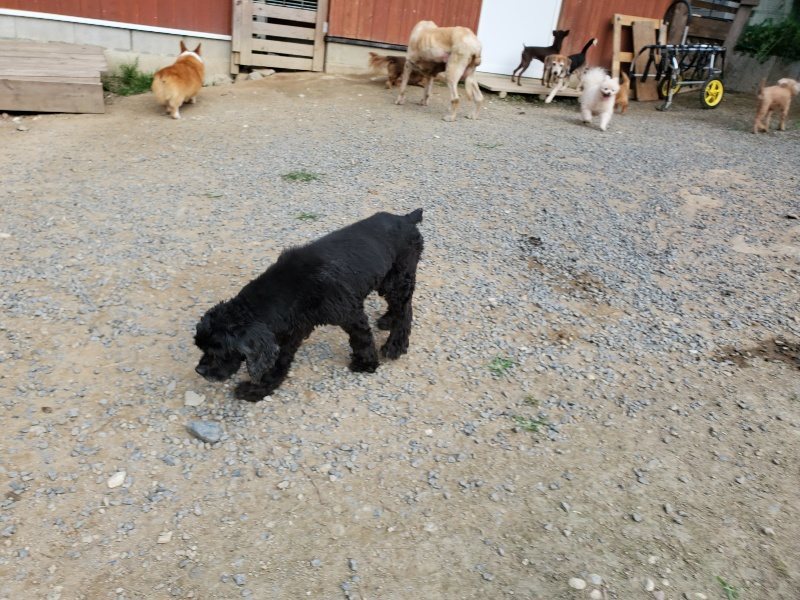 f:id:roukenhome-ann:20191002064936j:plain