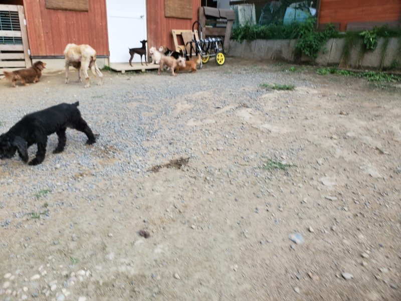 f:id:roukenhome-ann:20191002065030j:plain