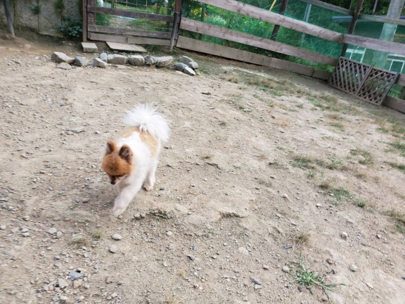 f:id:roukenhome-ann:20191002065113j:plain