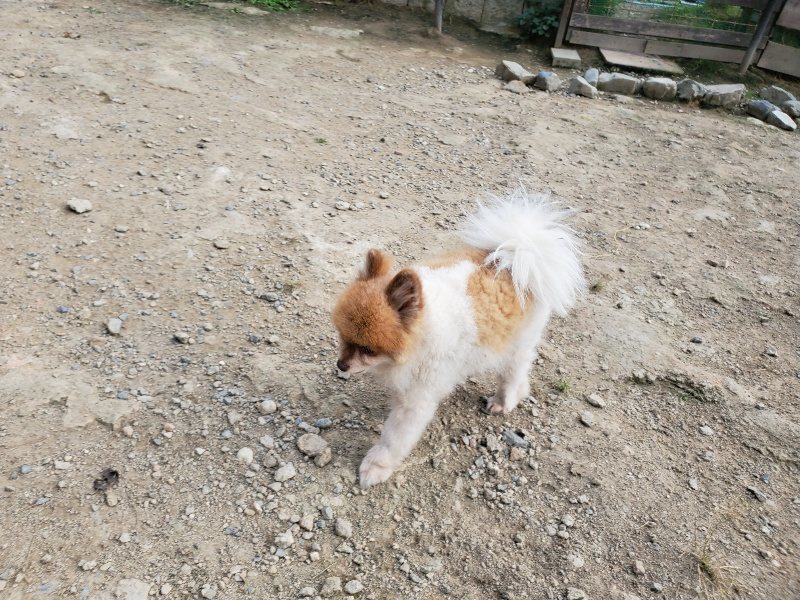 f:id:roukenhome-ann:20191002065208j:plain