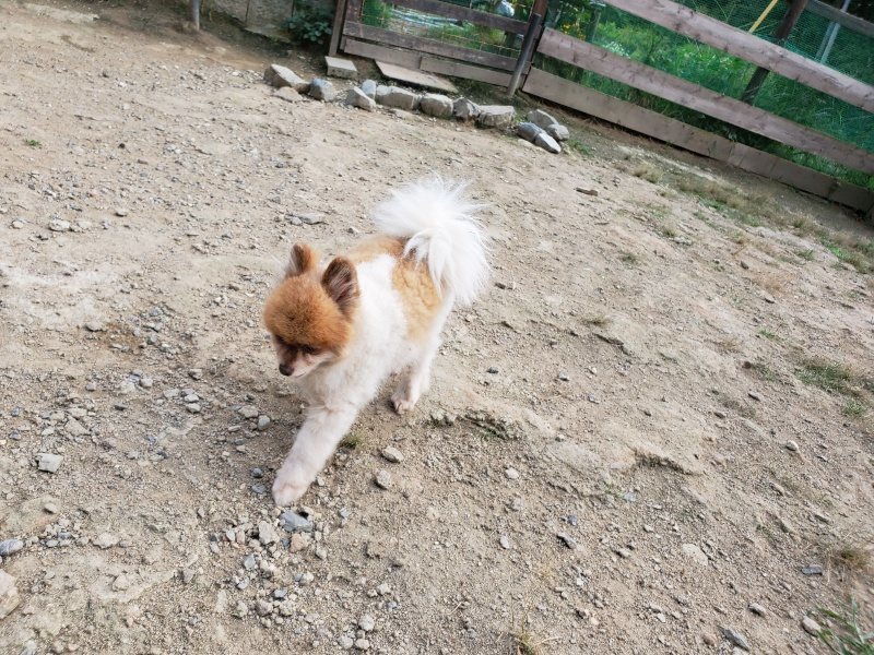 f:id:roukenhome-ann:20191002065325j:plain