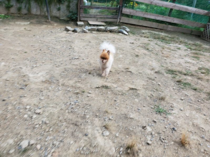 f:id:roukenhome-ann:20191002065434j:plain