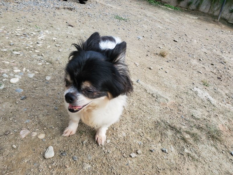 f:id:roukenhome-ann:20191002065601j:plain