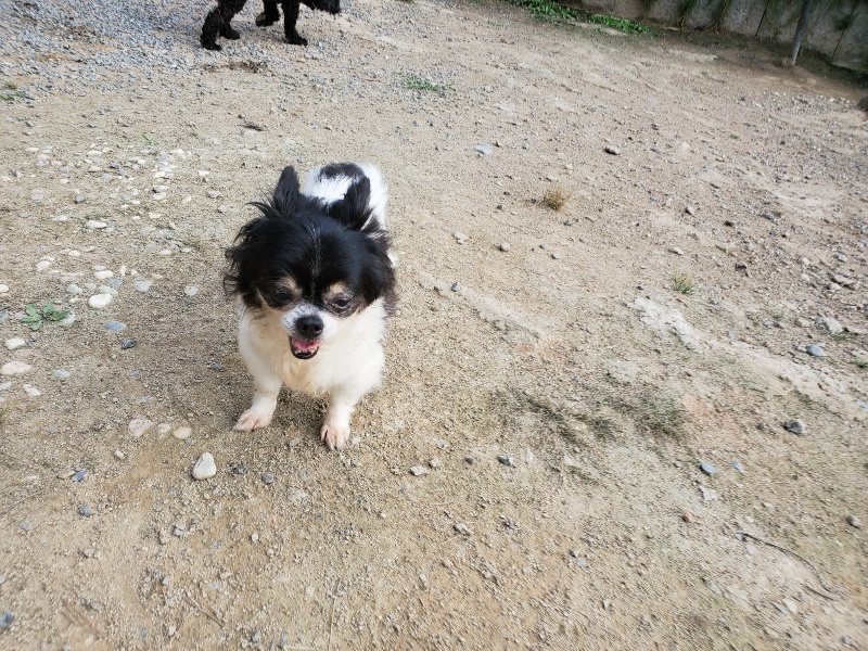 f:id:roukenhome-ann:20191002065700j:plain