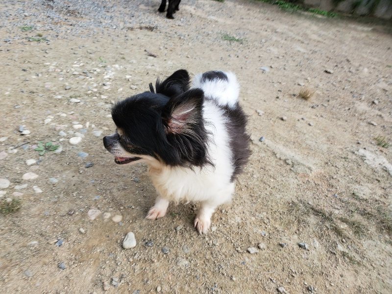 f:id:roukenhome-ann:20191002065746j:plain