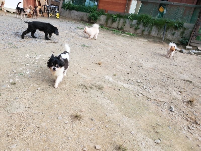 f:id:roukenhome-ann:20191002070012j:plain