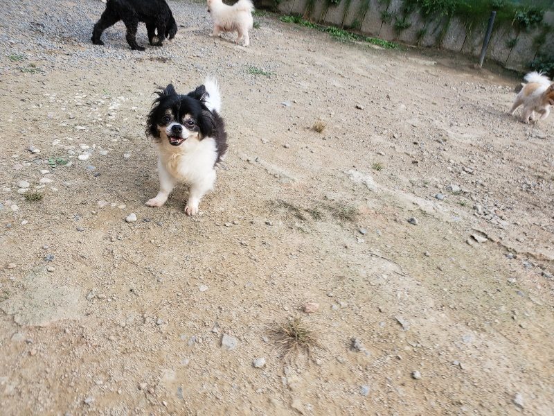 f:id:roukenhome-ann:20191002070127j:plain