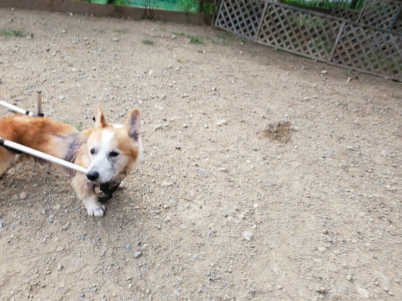 f:id:roukenhome-ann:20191002071502j:plain