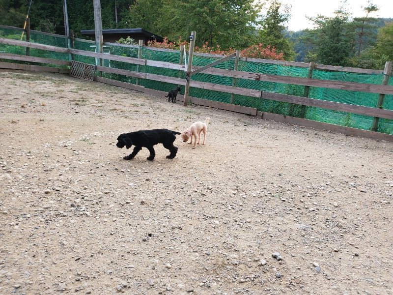 f:id:roukenhome-ann:20191002071658j:plain