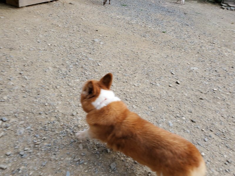 f:id:roukenhome-ann:20191002072140j:plain