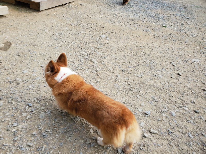 f:id:roukenhome-ann:20191002072327j:plain