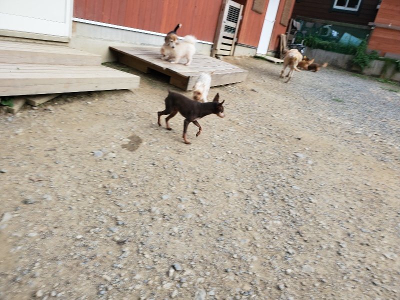 f:id:roukenhome-ann:20191002072431j:plain