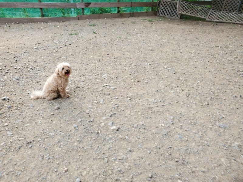 f:id:roukenhome-ann:20191002085150j:plain