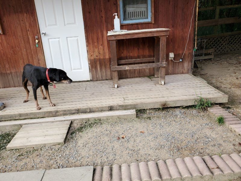 f:id:roukenhome-ann:20191002085200j:plain