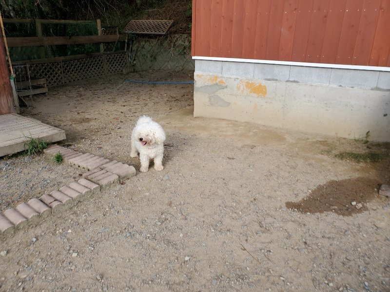 f:id:roukenhome-ann:20191002085213j:plain