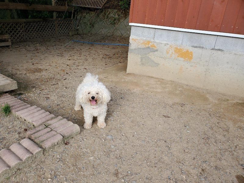 f:id:roukenhome-ann:20191002085220j:plain