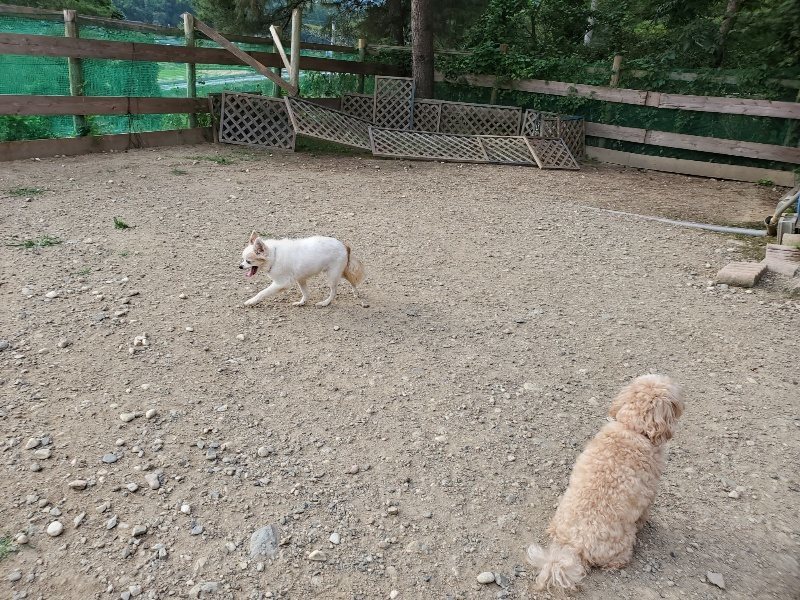 f:id:roukenhome-ann:20191002085226j:plain