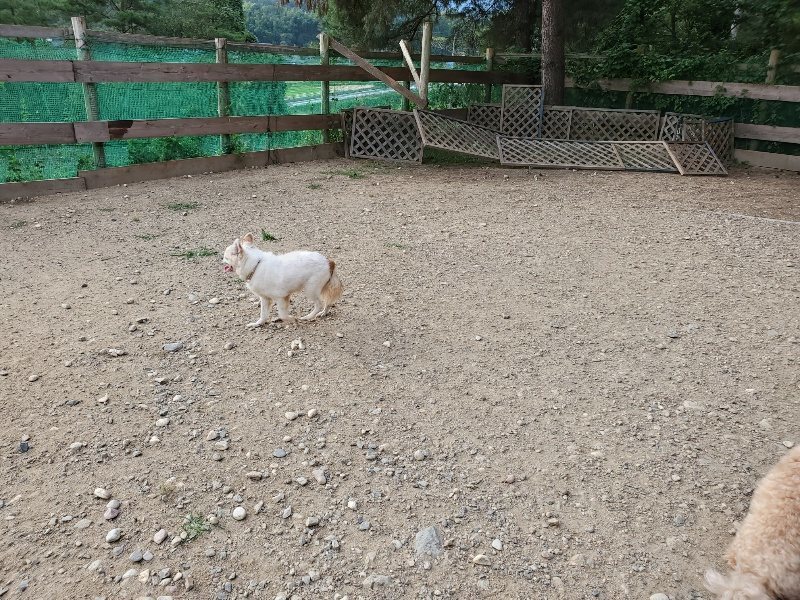 f:id:roukenhome-ann:20191002085231j:plain